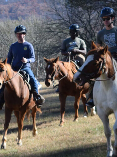 Tennessee horseback riding