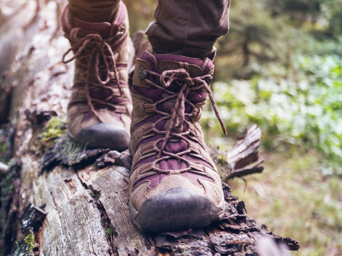 Top 5 Outdoor Activities in Tennessee Whitewater Express Ocoee